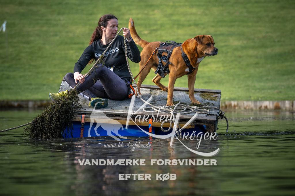 _ZZ943460715 | kk-dogfotos