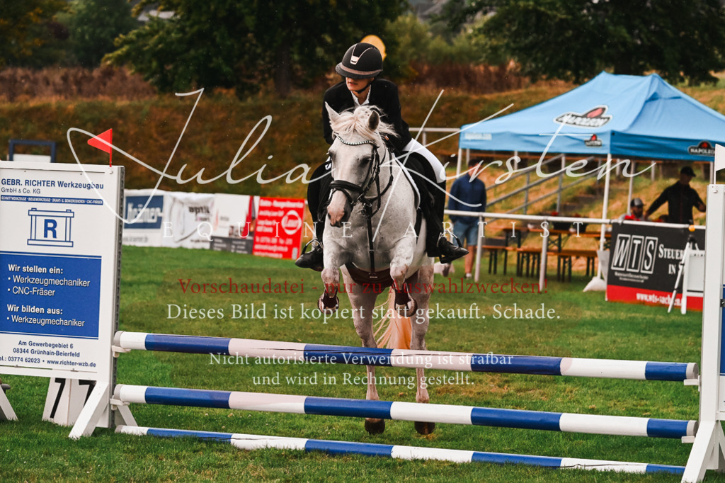 DSC_6190 | Pferde- und Turnierfotografie in Westsachsen. Pferdeportraits, Auftragszeichnungen und intuitive Kunst.