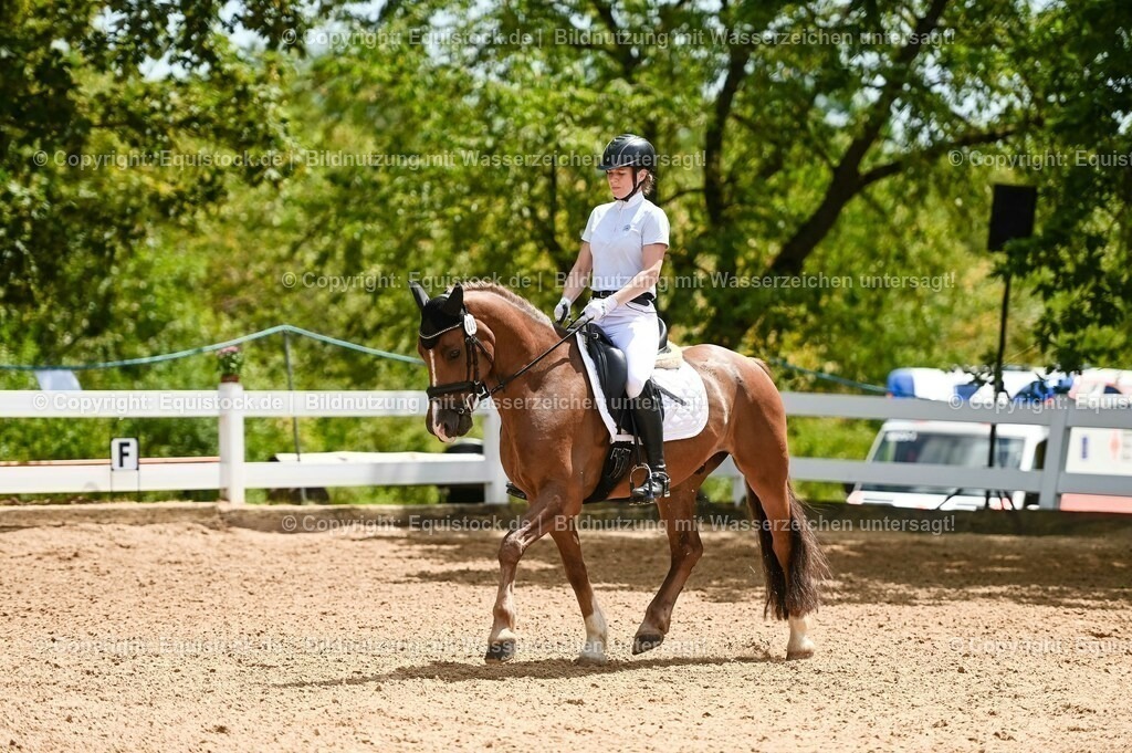 20230715_05_Dressurprüfung Kl.A++_0192 | equistock