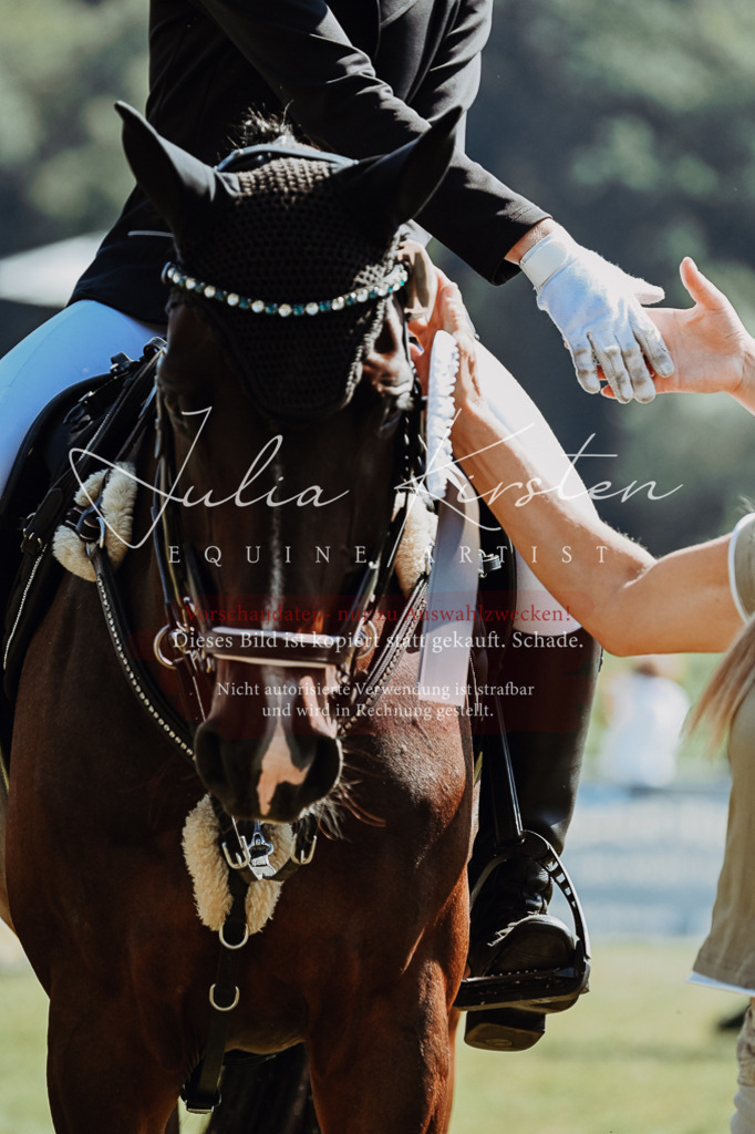DSC_6255 | Pferde- und Turnierfotografie in Westsachsen. Pferdeportraits, Auftragszeichnungen und intuitive Kunst.