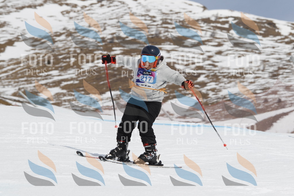 _U3G2316 | holidayphoto