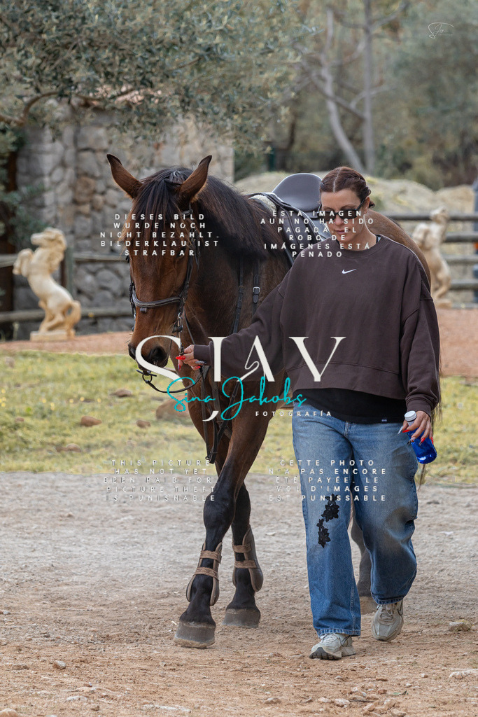 IMG_4755 | s-jay-photography - Realisiert mit Pictrs.com