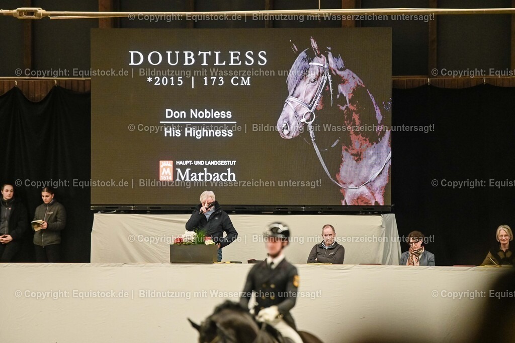20260307_Hengstvorstellung-Marbach_0266 | equistock