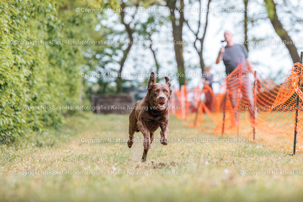 Sage Hunderennen Frühlingsfest-2026-Nickbest-Hundefotografie-0555 | Dein Hund! Dein Moment! Deine Erinnerungen! Hundefotografie in Bremen Blumenthal. Ich fange die besonderen Momente deines Vierbeiners ein – ob Indoor mit Blitzanlage oder in der freien Natur. Sicher dir dein Moment und dein Termin für eure Erinnerungen.