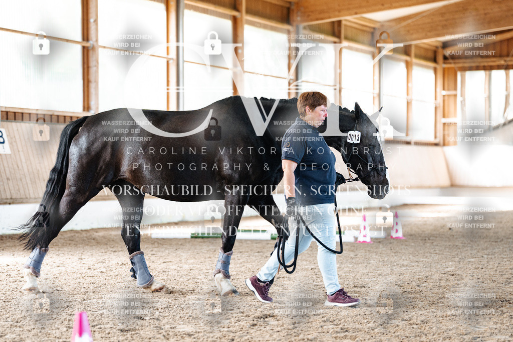 CK906262 | Turnierfotografie Pferdefotografie Trier Rheinland-Pfalz Pferdesport Reitsport Tierfotografie Sportfotografie Pferdevideo Pferdevideografie Equestrianvideography equestrianphotography  - Realisiert mit Pictrs.com