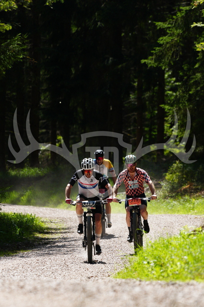 FC605545 | Fotogalerie der Treibjagd im Dunkelwald - Dein MTB Etappenrennen im Erzgebirge - Realisiert mit Pictrs.com