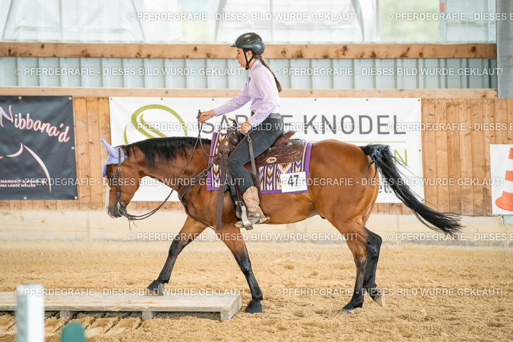 DSC07107 | Pferdegrafie