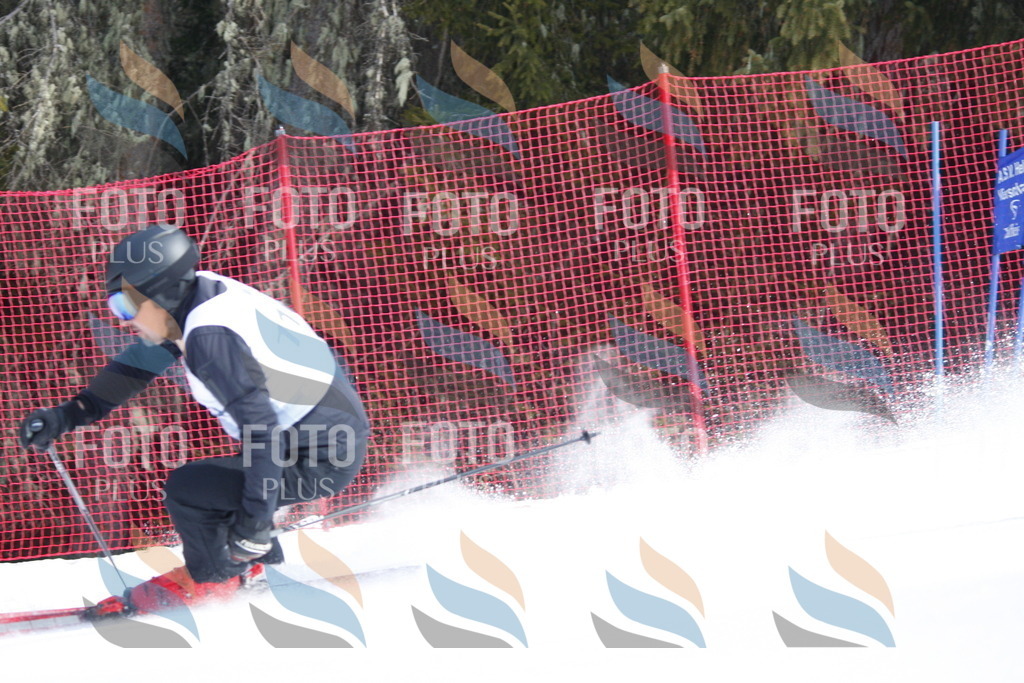 D6535 | holidayphoto