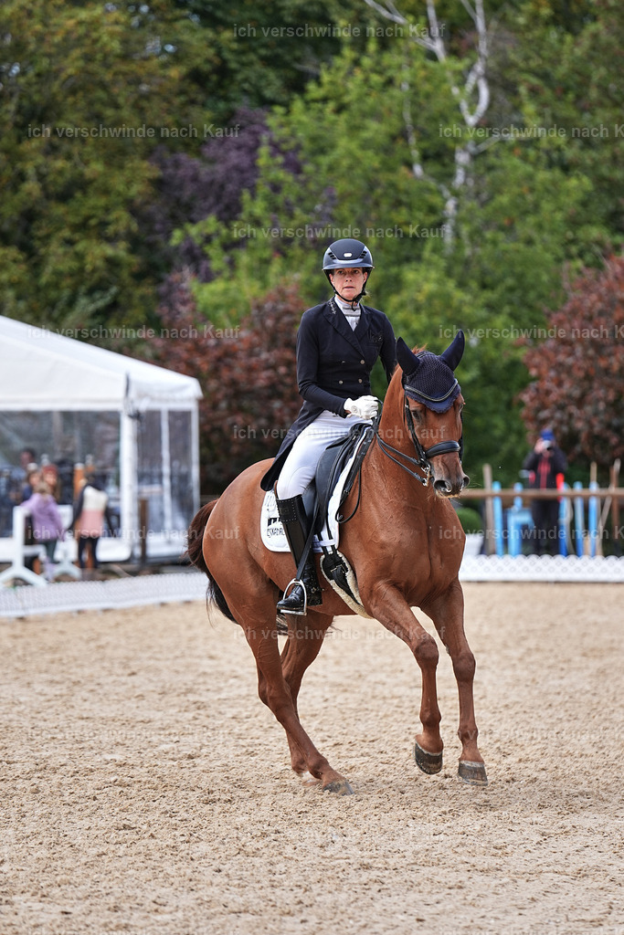 12-220-DRESSUR  S___  -Marixx-5221 | working equitationturnier fotograf videograf stoibphotography marixx film working equitation deutschland reitsport turnierfotografie eventfotografie equestrian events