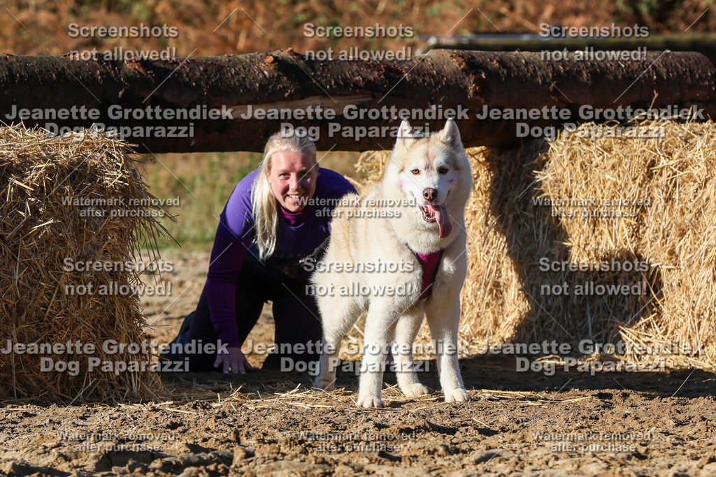 Dog Paparazzi - Strongdog 10-25-1583 | Dog Paparazzi Jeanette Grottendiek Fotografie & Videografie - Realisiert mit Pictrs.com