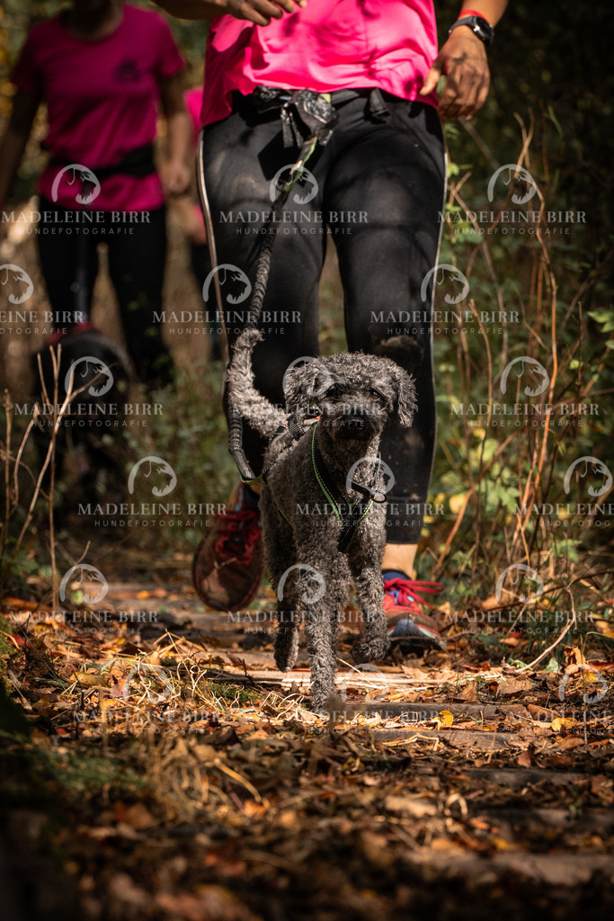 madeleinebirr.fotografie.2026.cc.hunsrueck.12-13Uhr.157 | hundefotografie-birr