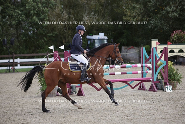 1J2A9276Christian Riedinger_ Micara Rubina_ Kn719_ Havekost | Foto- und Videografie für alles rund ums Pferd. Hochwertige Bilder und Videos vom Spring- und Dressurreiten, Voltigieren & mehr. Jetzt aktuelle Veranstaltungen und Preise im Shop ansehen. - Realisiert mit Pictrs.com