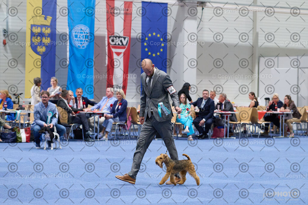 202406_ÖKV-IHA-Tulln24_DSC_2982 | proPHOTO - Realisiert mit Pictrs.com