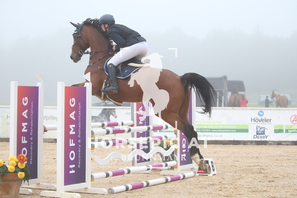 DL2Q2814 | Willkommen bei Brunnmayr - Design & Fotografie – Ihrem Spezialisten für Reitturniere und Pferdeveranstaltungen in Oberösterreich, Salzburg und Bayern! Seit über 17 Jahren sind wir leidenschaftlich dabei.