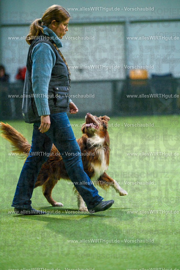 7R500904 | Professionelle Tierfotografie in Mönchengladbach von Daniel Wirth (allesWIRTHgut). Liebevolle & natürliche Bilder von Hunden & Katzen für unvergessliche Erinnerungen.