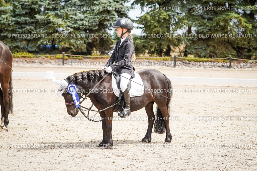 DSC02888 | Pferdegrafie