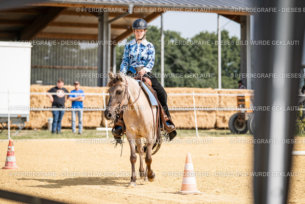 DSC09730 | Pferdegrafie