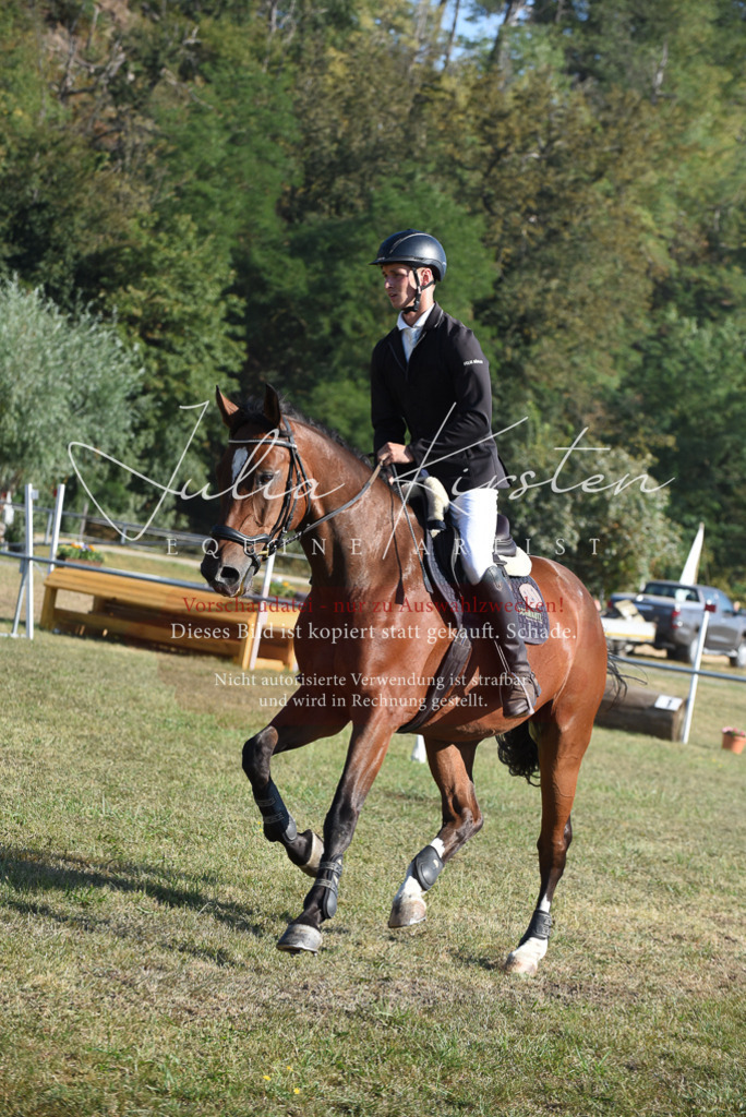 DSC_5360 | Pferde- und Turnierfotografie in Westsachsen. Pferdeportraits, Auftragszeichnungen und intuitive Kunst.