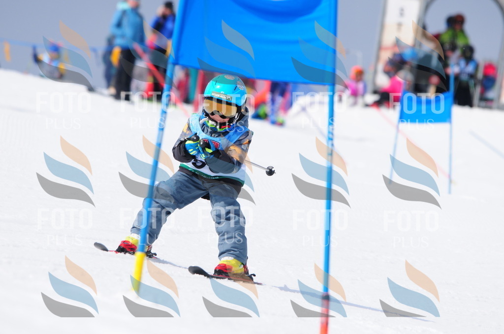 A3580 | holidayphoto