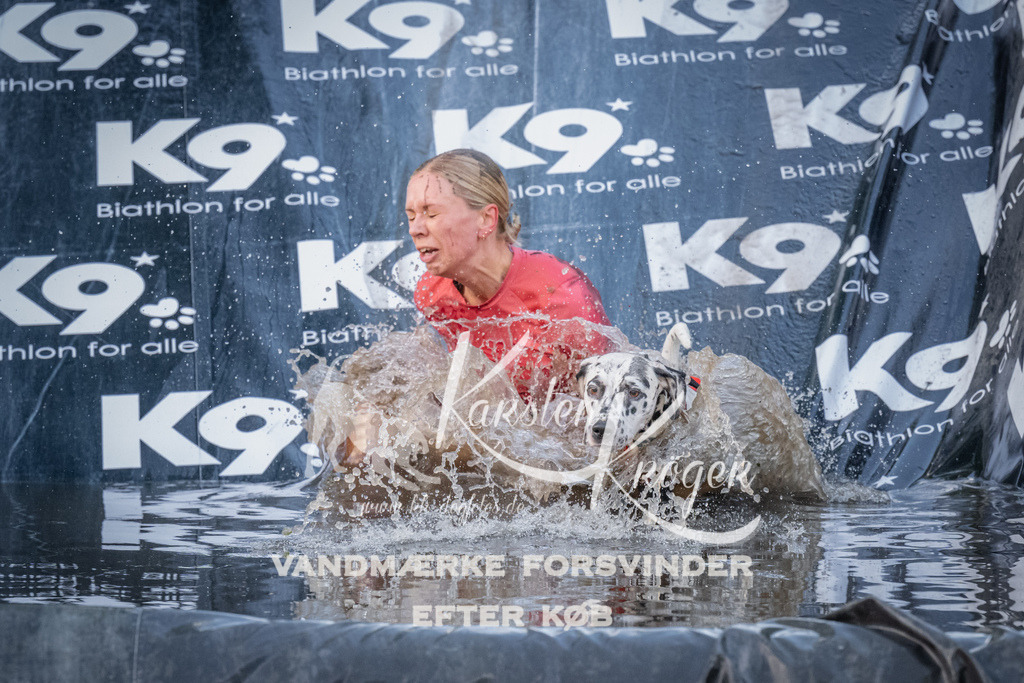 1514_ZZ94286 | kk-dogfotos