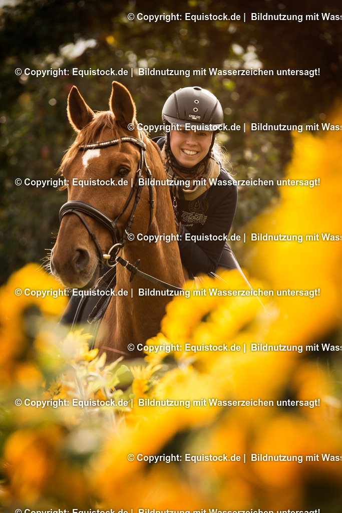 20151019_TOMsPiC_0307 1 | equistock