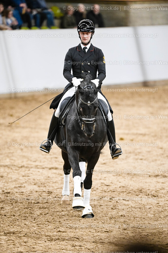 20260307_Hengstvorstellung-Marbach_0277 | equistock