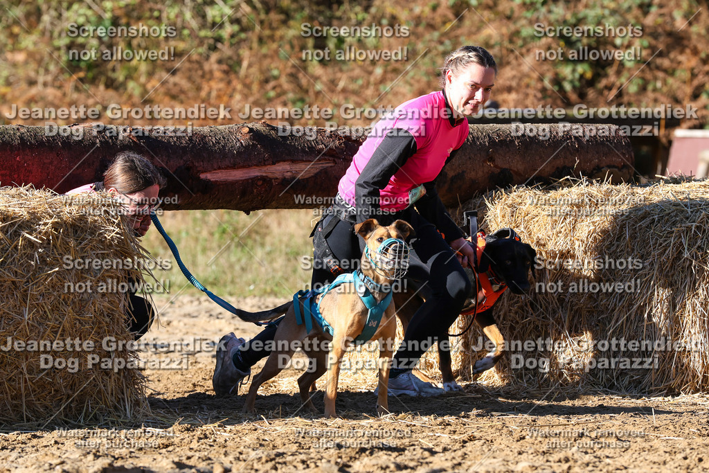 Dog Paparazzi - Strongdog 10-25-1826 | Dog Paparazzi Jeanette Grottendiek Fotografie & Videografie - Realisiert mit Pictrs.com