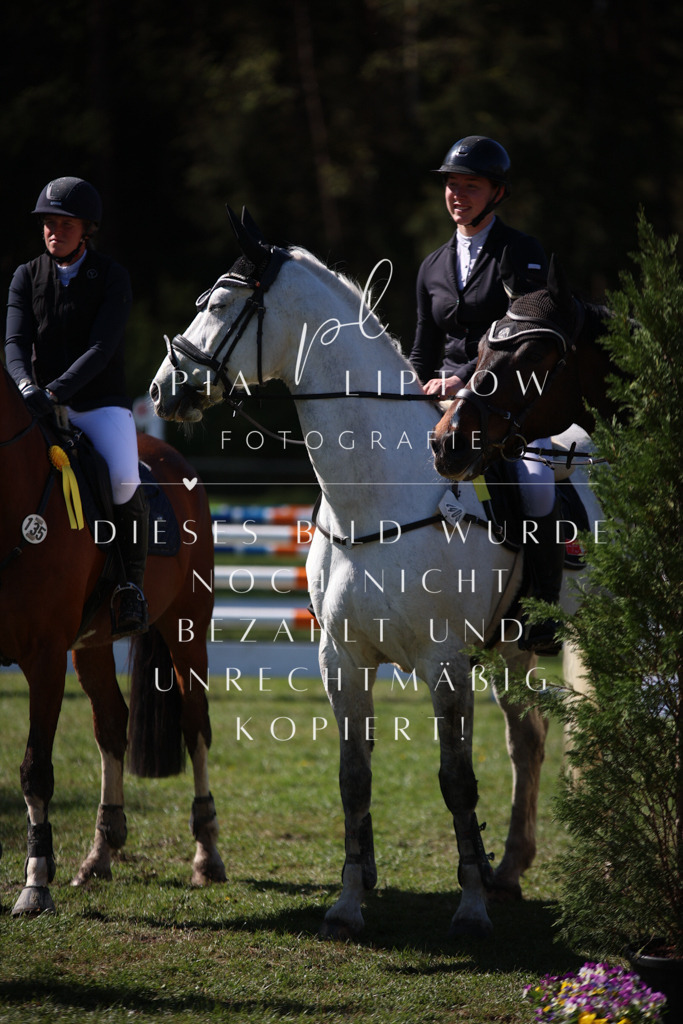 IMGT0551 | pl-fotografie