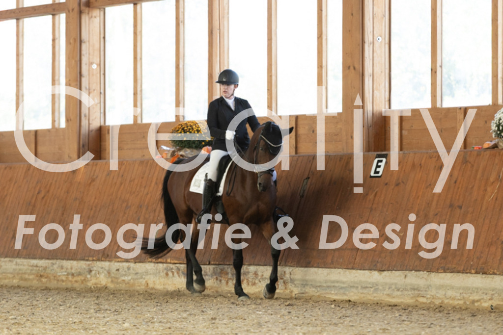 IMG_5393 | Creatify Fotografie