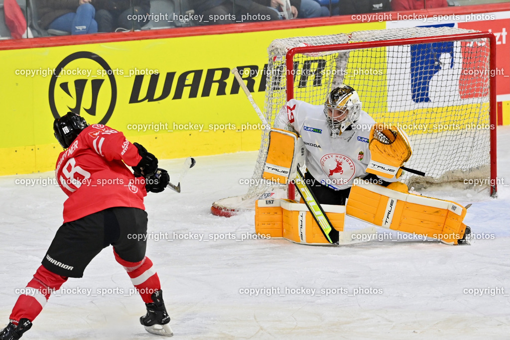 Österreich vs. Ungarn 14.12.2023 | Österreich vs. Ungarn 14.12.2023, Österreich vs. Ungarn  am 14.12.2023 in Klagenfurt (Heidi Horten Arena), Austria, (Photo by Bernd Stefan)