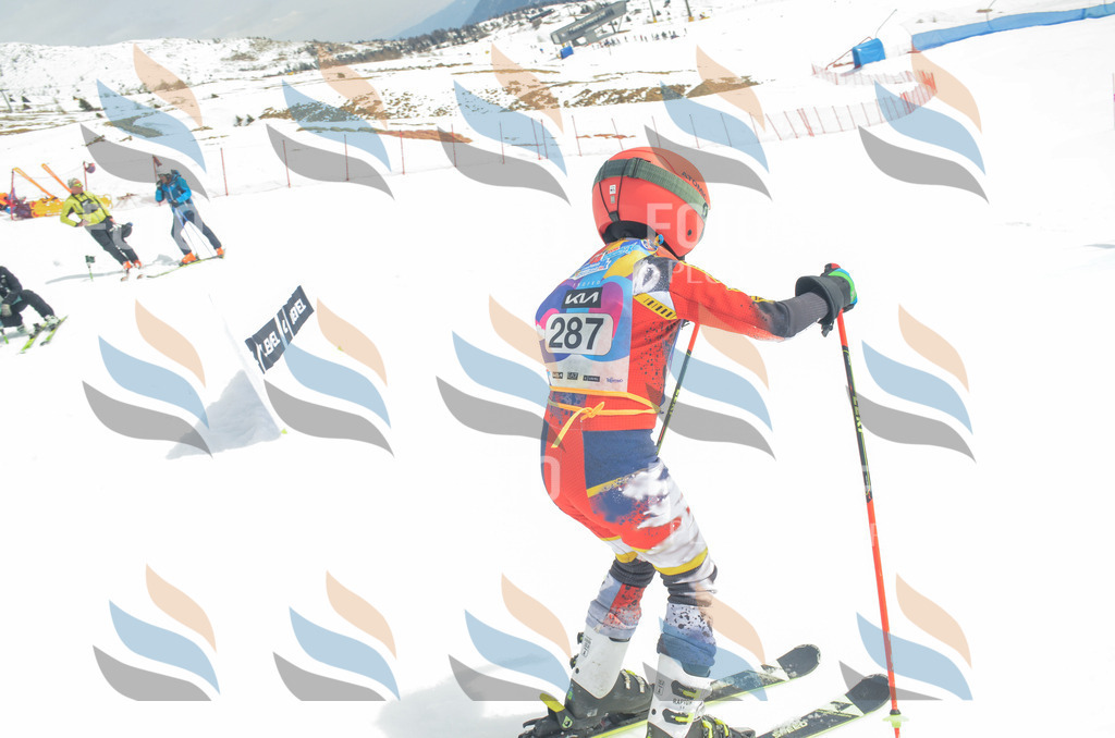 _ELE8045 | holidayphoto