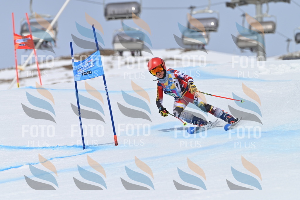 BGV_3700 | holidayphoto