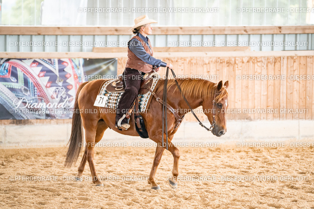 DSC00687 | Pferdegrafie