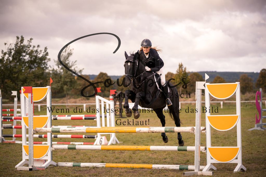 A7V06775 | Pferdefotograf