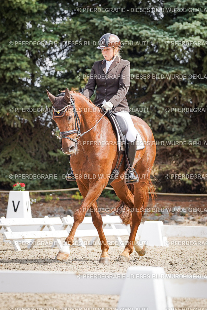 DSC09876 | Pferdegrafie