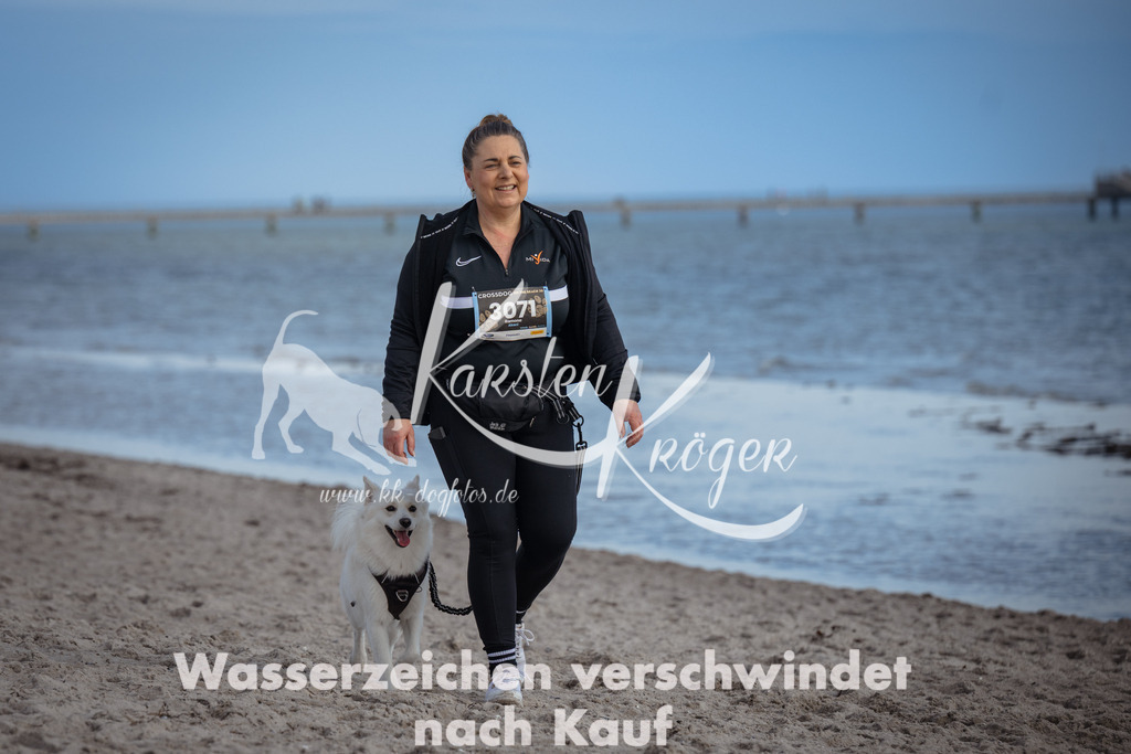 1306_ZZ90317 | kk-dogfotos