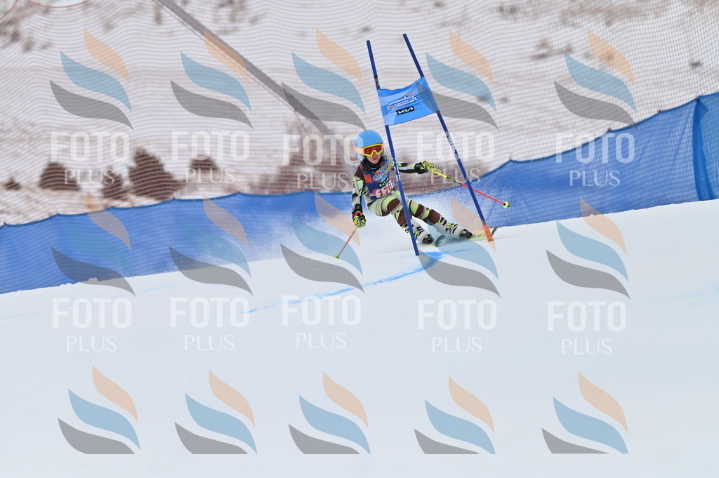 BGV_0879 | holidayphoto