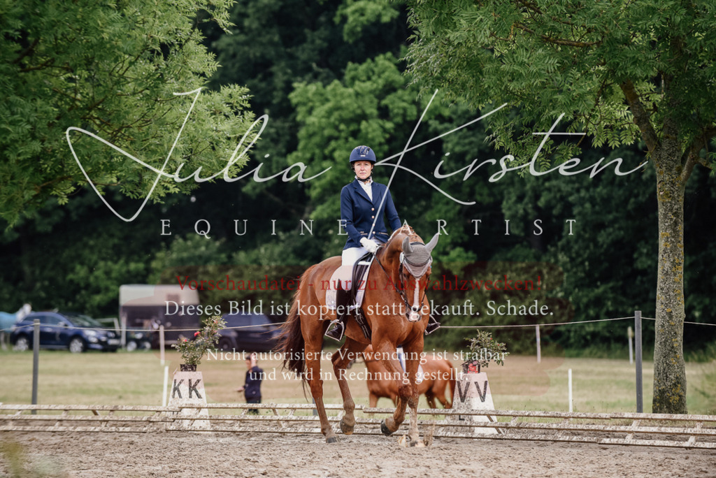 DSC_9931 | Pferde- und Turnierfotografie in Westsachsen. Pferdeportraits, Auftragszeichnungen und intuitive Kunst.