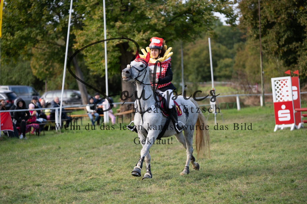 A7V06559 | Pferdefotograf