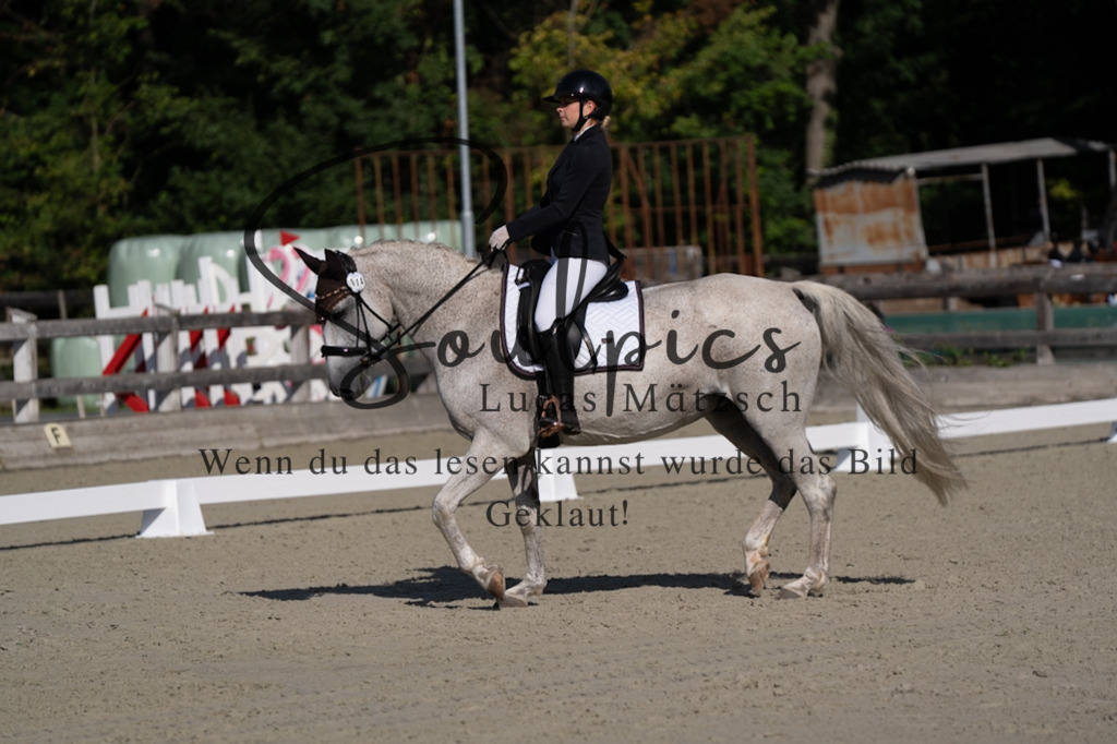 A7V06884 | Turnier/Reitfotograf