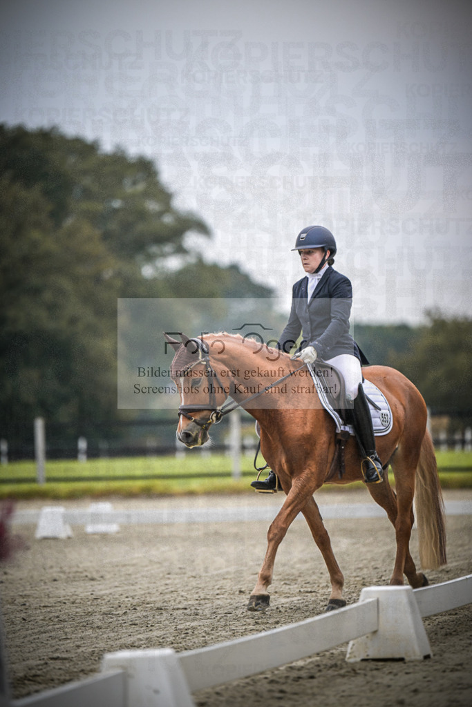 DOS_0338 | Entdecke hochwertige Reitturnierfotos von Foto Oger. Professionell, emotional und authentisch – jetzt Lieblingsmomente im Shop bestellen.Deutschlandweite Turnierfotografie. - Realisiert mit Pictrs.com
