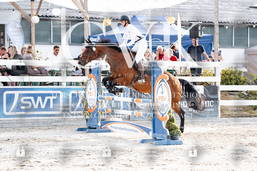 CK906649 | Turnierfotografie Pferdefotografie Trier Rheinland-Pfalz Pferdesport Reitsport Tierfotografie Sportfotografie Pferdevideo Pferdevideografie Equestrianvideography equestrianphotography  - Realisiert mit Pictrs.com