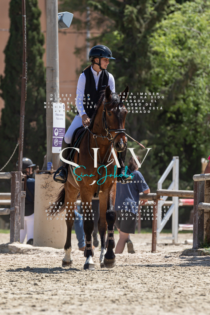 IMG_0448 | s-jay-photography - Realized with Pictrs.com