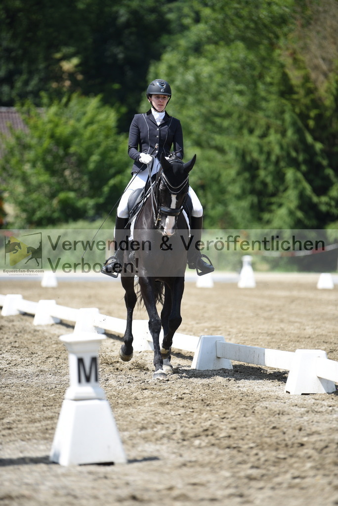 DSC_8979 | equestrian-live-com