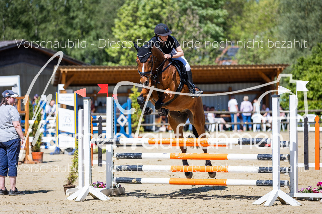 Donop24-ASprmstA-047 | MomenTaufnahmen Pferdesportfotos