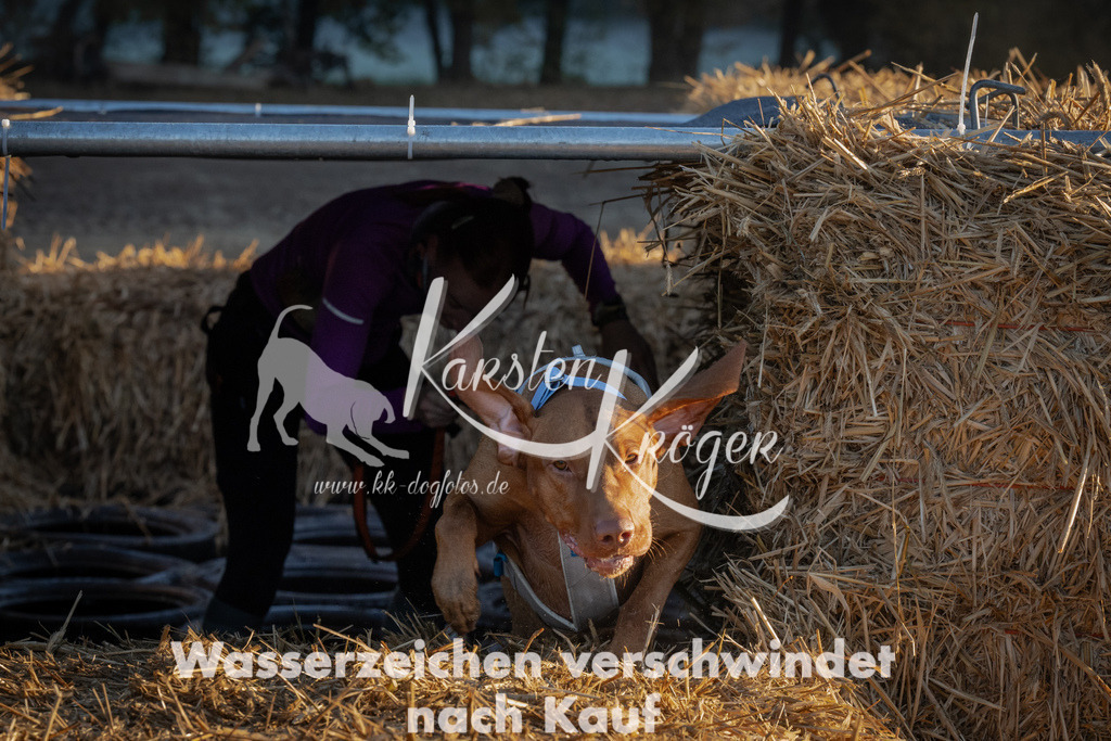 0903_ZZ90821 | kk-dogfotos