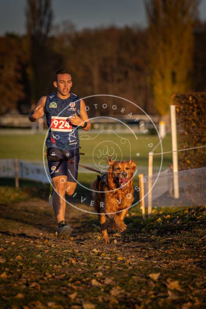 CaniXpix_DV3A5000 | Hundefotografie, Tierfotograf, Pfotenfotografie, Fotoshooting Hund, Hunde Portrait, Hundesport, Hundeportraits, Heideshooting, Hunde, Sportfotograf, Hundefotograf, Turnierhundsport, THS,  - Realisiert mit Pictrs.com