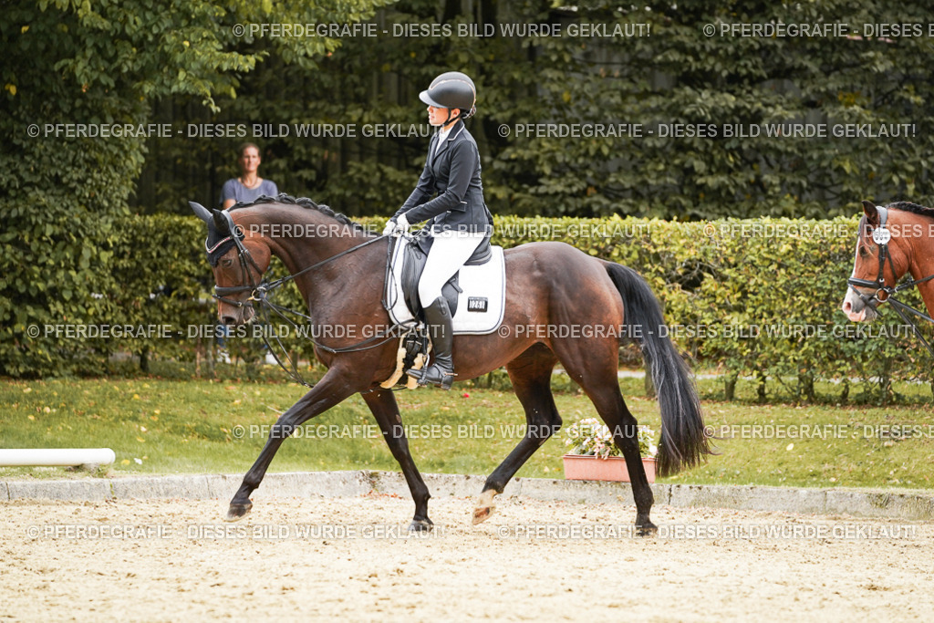 DSC00081 | Pferdegrafie