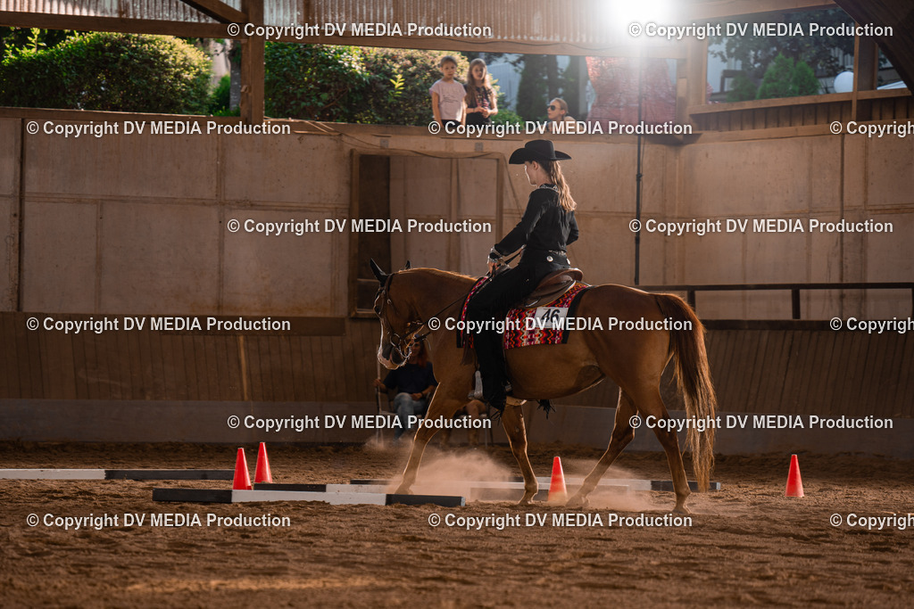 NE101214 | dv-media-shop - Realisiert mit Pictrs.com