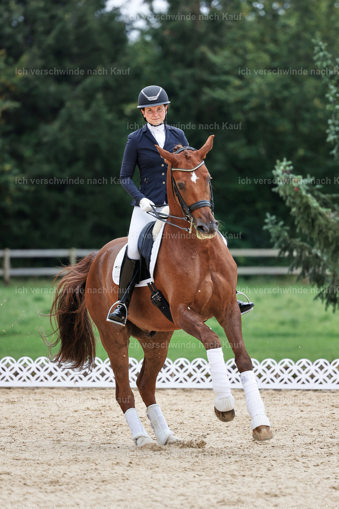 04_1-Siegerehrung-Dressur M__ -StoibPH-StoibPH-2712 | working equitationturnier fotograf videograf stoibphotography marixx film working equitation deutschland reitsport turnierfotografie eventfotografie equestrian events